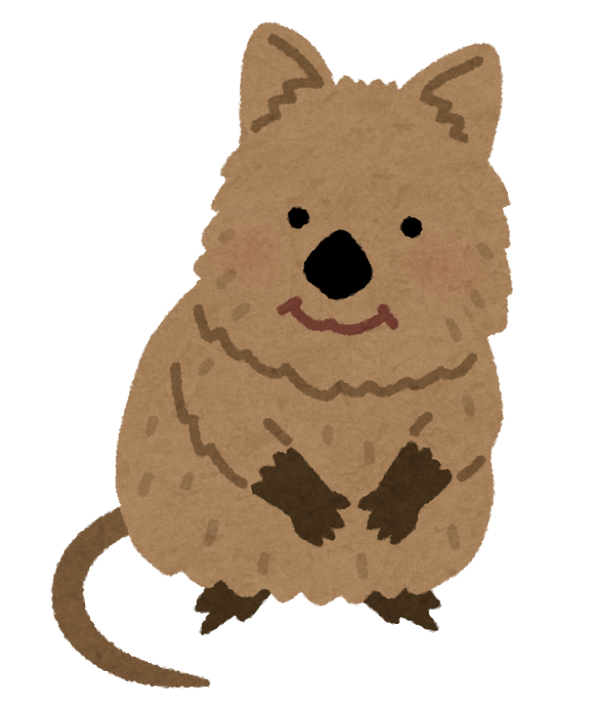quokka